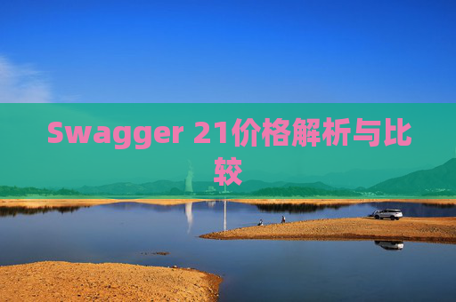 Swagger 21价格解析与比较